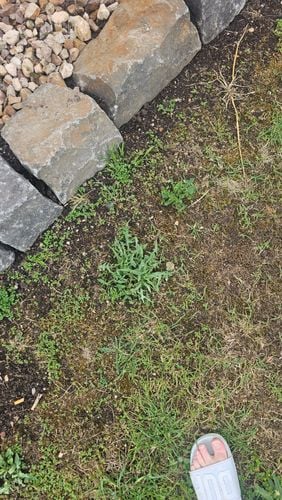 1000011493.jpg 1000011493.jpg