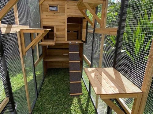 IMG_3236.jpeg IMG_3236.jpeg