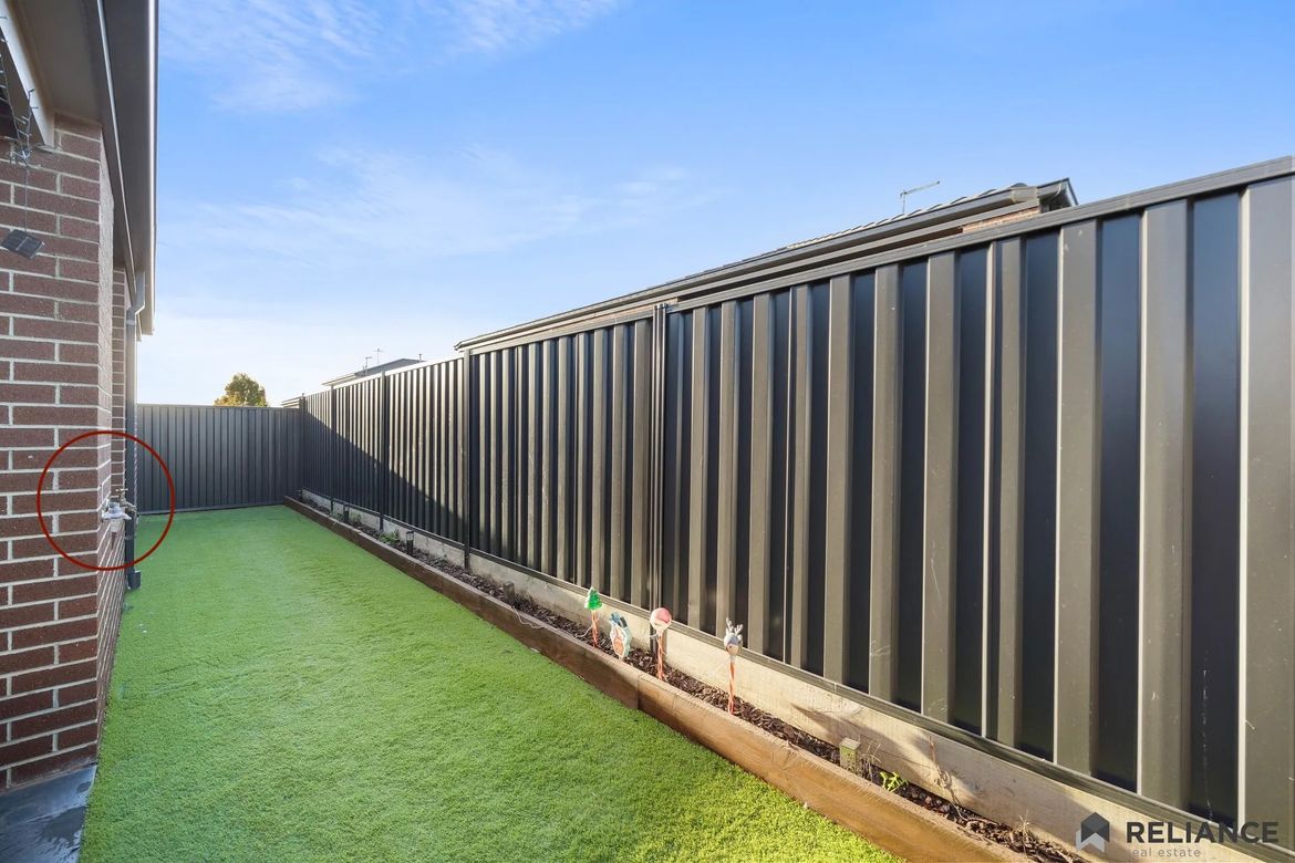 backyard copy.jpg backyard copy.jpg