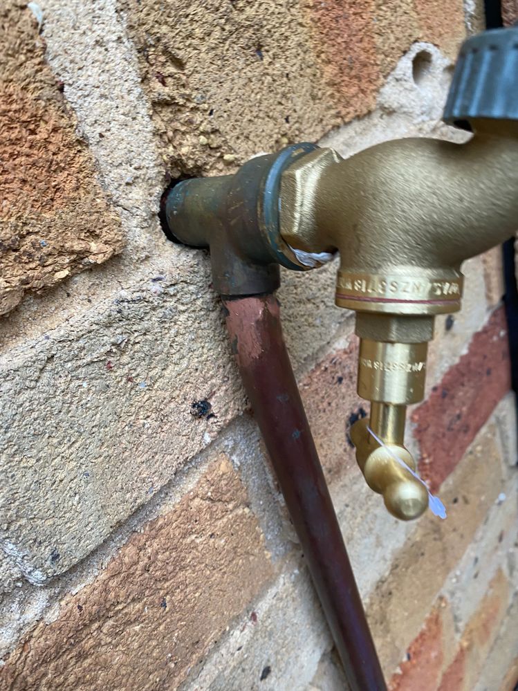 IMG_1965.jpeg IMG_1965.jpeg