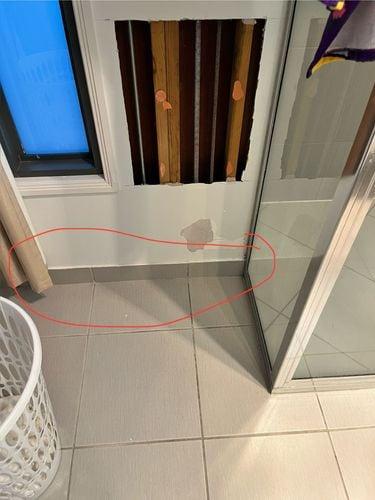 IMG_2516.jpeg IMG_2516.jpeg