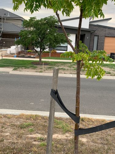 IMG_1504.jpeg IMG_1504.jpeg