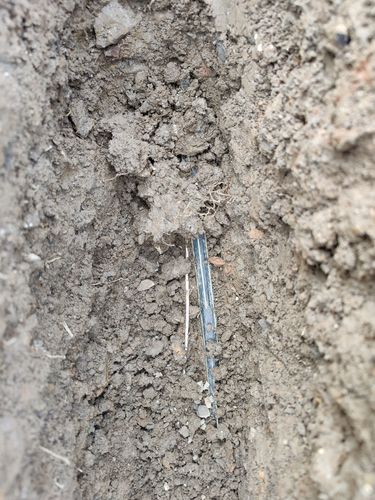 IMG_20250111_175419.jpg IMG_20250111_175419.jpg