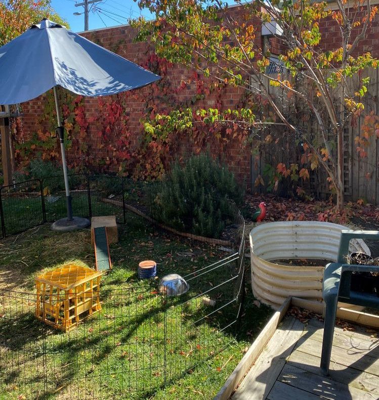 I_MG-9786 (2).jpg I_MG-9786 (2).jpg