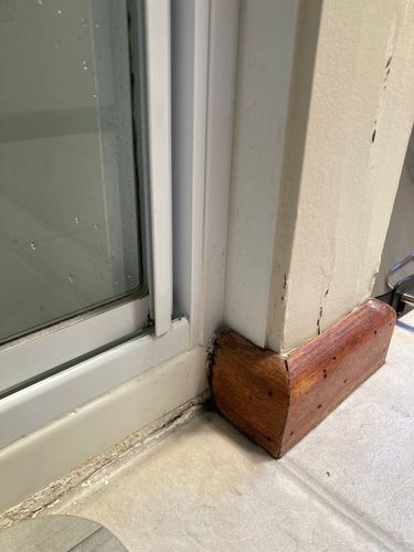 IMG_8971.jpeg IMG_8971.jpeg