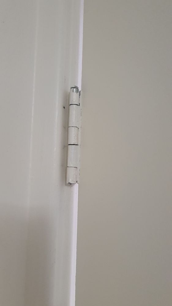 20231110_065253.jpg 20231110_065253.jpg