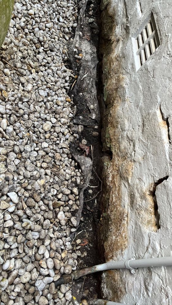 IMG_8588 2.jpeg IMG_8588 2.jpeg