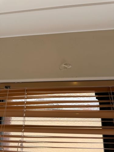 IMG_6706.jpeg IMG_6706.jpeg