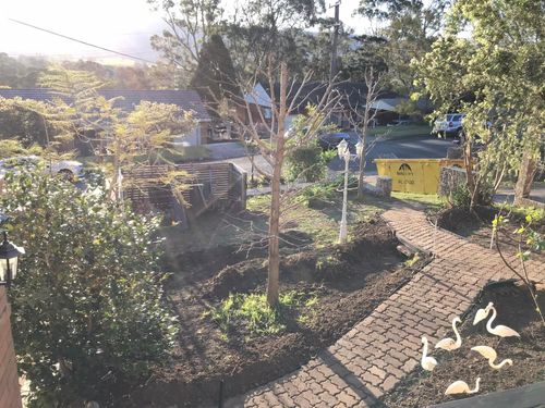 105 11-09-2022.jpg 105 11-09-2022.jpg