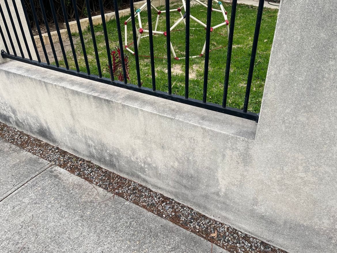 IMG_3515.jpeg IMG_3515.jpeg