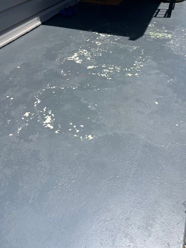 IMG_9916.jpg IMG_9916.jpg