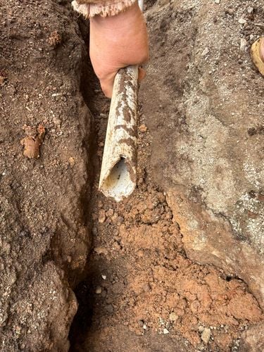 IMG_0625.jpeg IMG_0625.jpeg