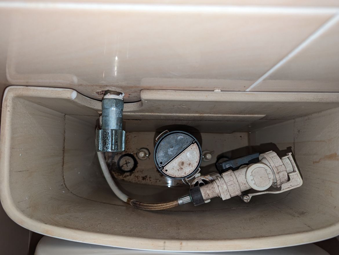 PXL_20231018_081935165.jpg PXL_20231018_081935165.jpg