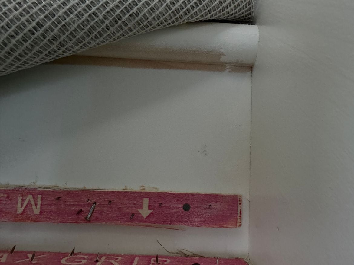 IMG_4496.jpeg IMG_4496.jpeg