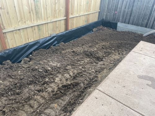 IMG_1145.jpeg IMG_1145.jpeg