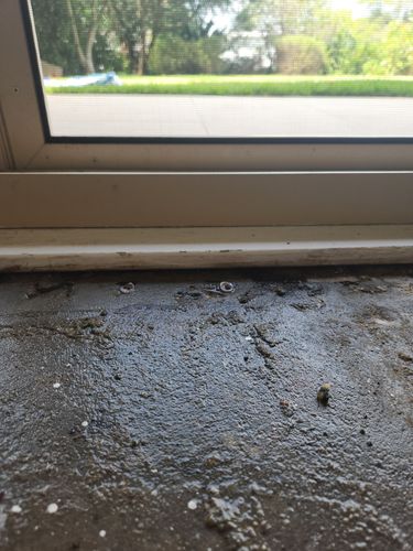 20250122_152329_001.jpg 20250122_152329_001.jpg