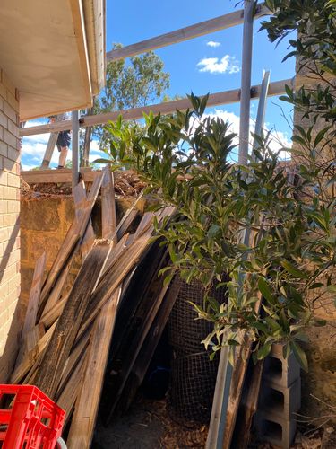 IMG_3838.jpeg IMG_3838.jpeg