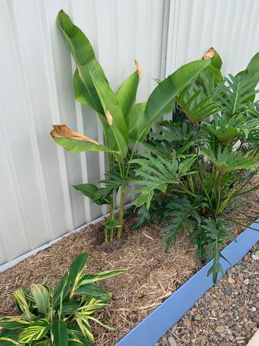 IMG_1956.jpg IMG_1956.jpg