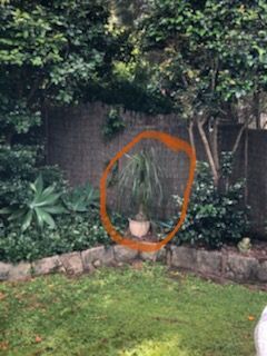 Backyard 1.jpg Backyard 1.jpg