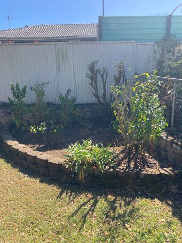 IMG_8974.jpeg IMG_8974.jpeg