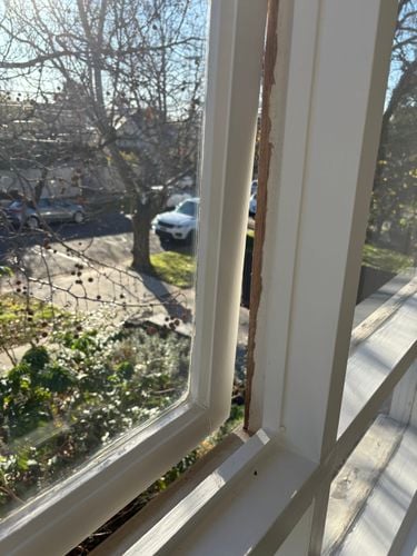 IMG_1324.jpeg IMG_1324.jpeg