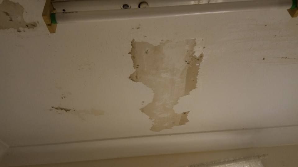 15 23-04-2018.jpg 15 23-04-2018.jpg