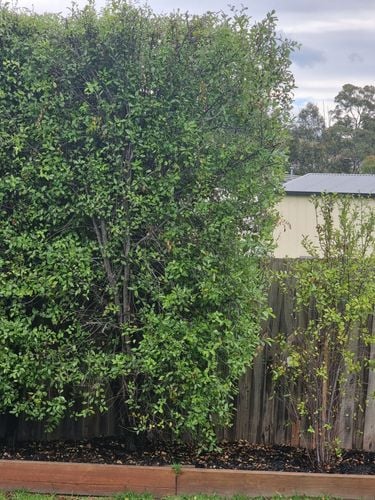 20231125_145046.jpg 20231125_145046.jpg