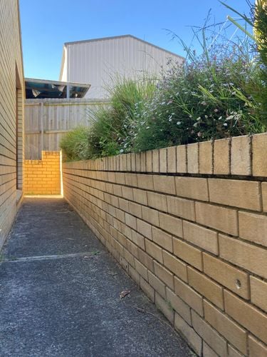 IMG_4908.jpeg IMG_4908.jpeg