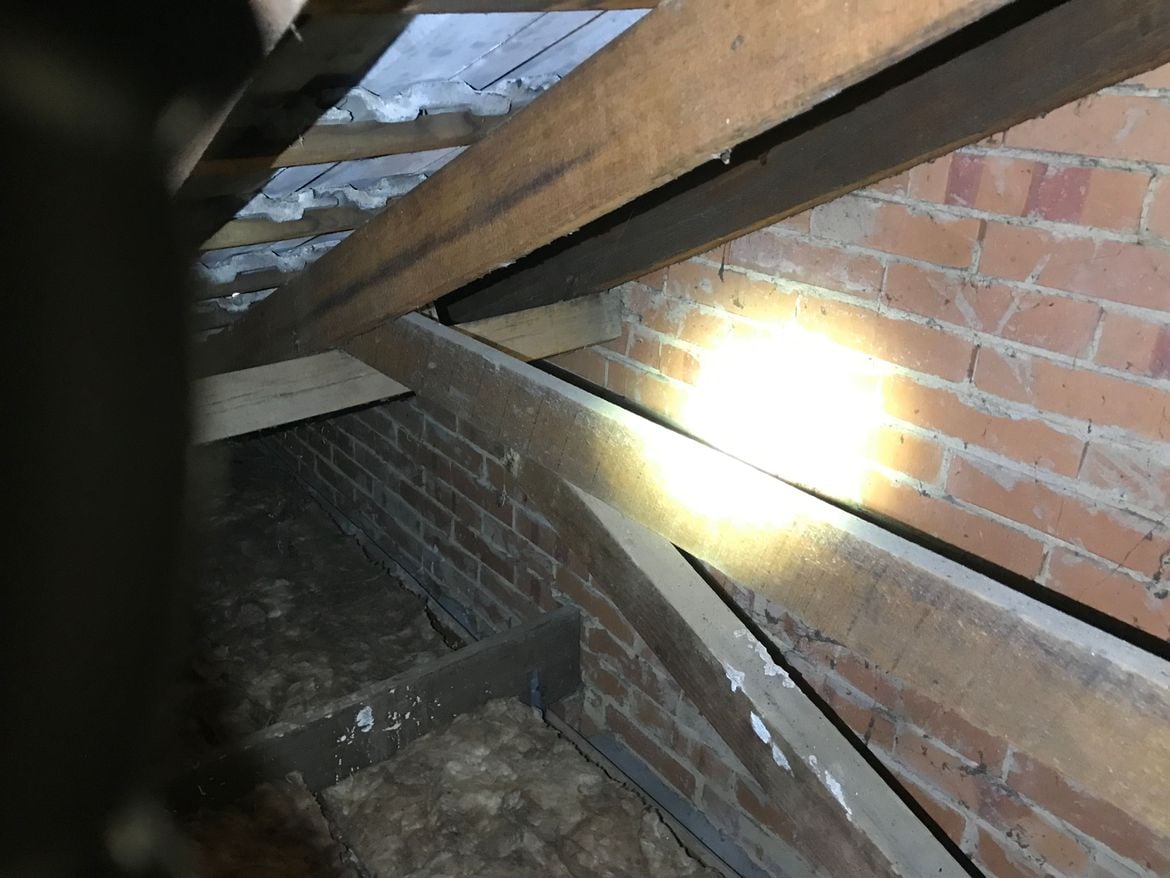 IMG_6015.JPG IMG_6015.JPG