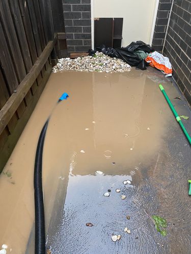 85403538-E0E0-4C6D-9F21-849EBF6DE3B9.jpeg 85403538-E0E0-4C6D-9F21-849EBF6DE3B9.jpeg