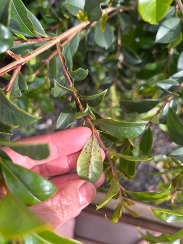 IMG_6045.jpeg IMG_6045.jpeg