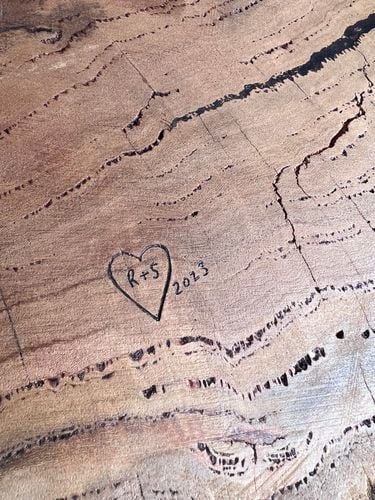 IMG_4148.jpeg IMG_4148.jpeg