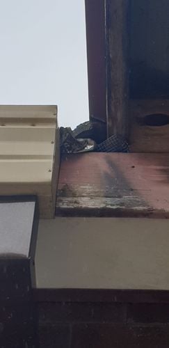 20240127_151719.jpg 20240127_151719.jpg