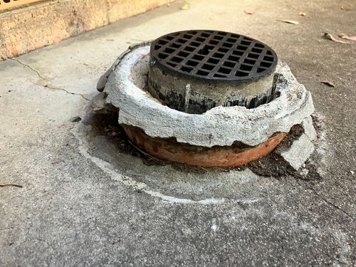 IMG_6355.jpeg IMG_6355.jpeg