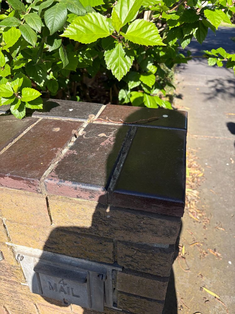 IMG_0801.jpeg IMG_0801.jpeg