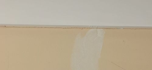 IMG_20230316_171158.jpg IMG_20230316_171158.jpg