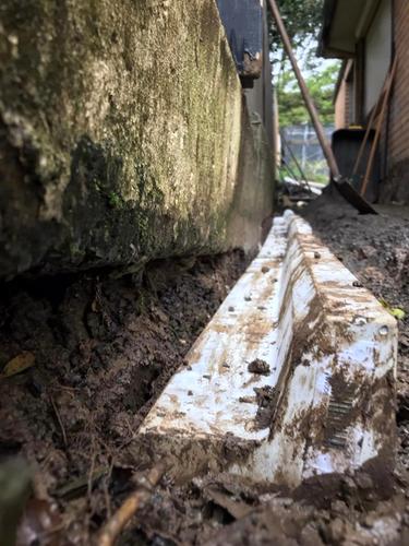 59 03-07-2022.jpg 59 03-07-2022.jpg