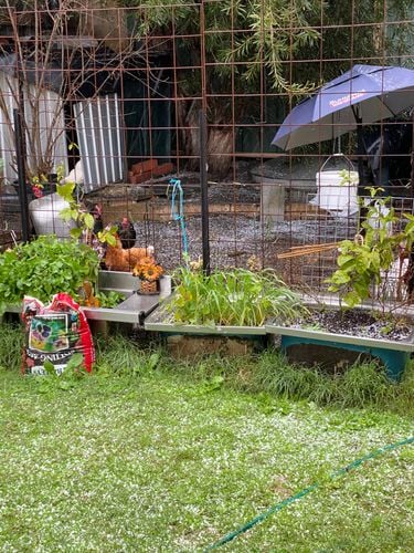 C3DE394E-FCC4-4D90-BA7F-2A2ABC408FB6.jpeg C3DE394E-FCC4-4D90-BA7F-2A2ABC408FB6.jpeg