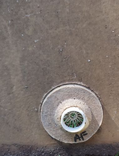 IMG_20220930_132732.jpg IMG_20220930_132732.jpg