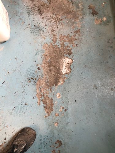 IMG_4605.jpeg IMG_4605.jpeg