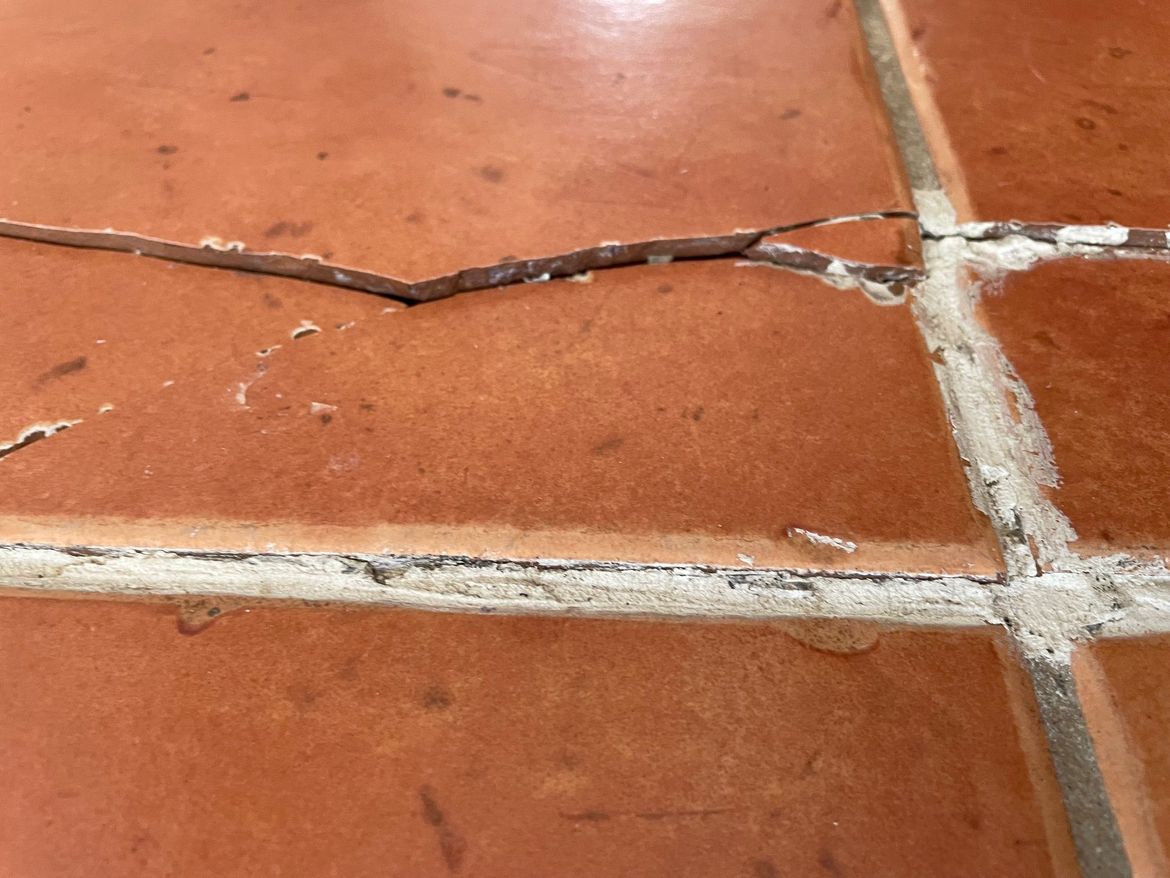 IMG_6881.jpg IMG_6881.jpg