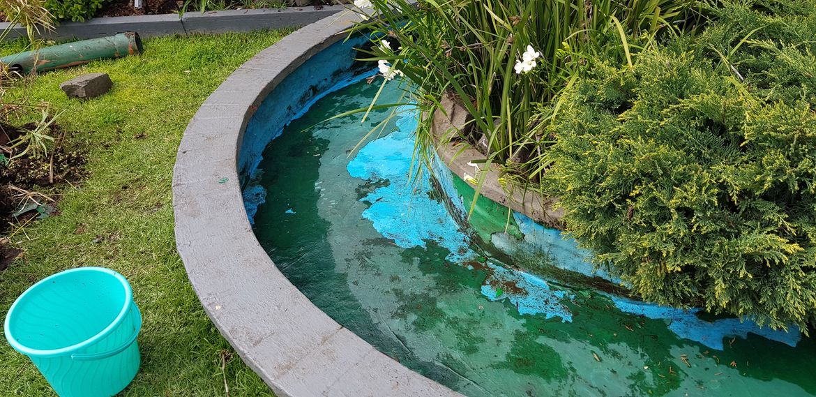 20190912_123804.jpg 20190912_123804.jpg