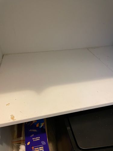 IMG_4162.jpeg IMG_4162.jpeg