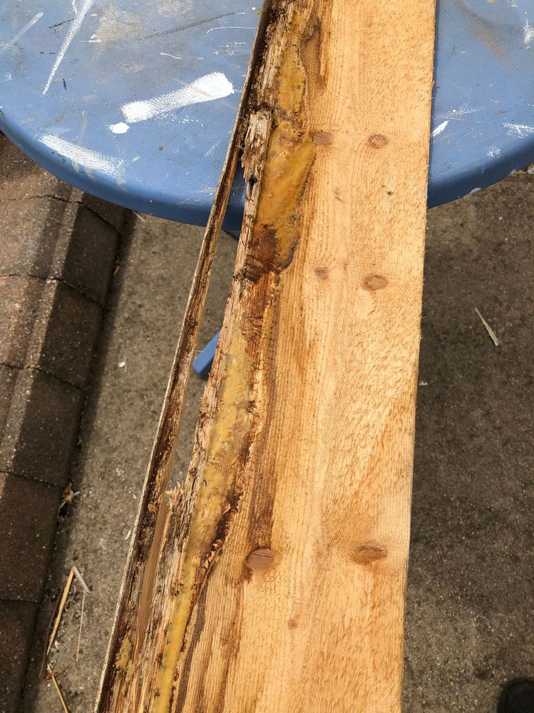 DBWD5523E.JPG DBWD5523E.JPG