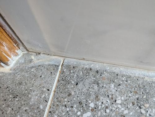 1000029094.jpg 1000029094.jpg