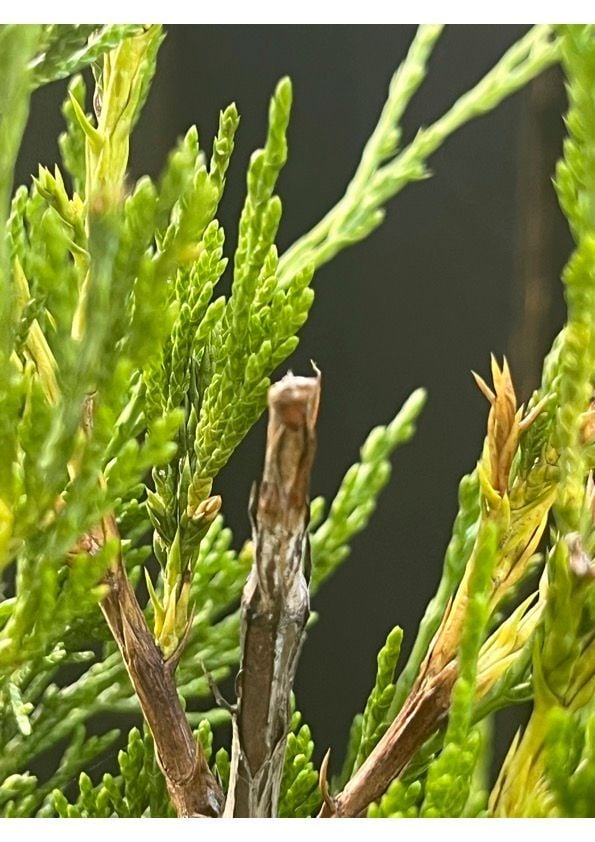 IMge 5.jpg IMge 5.jpg