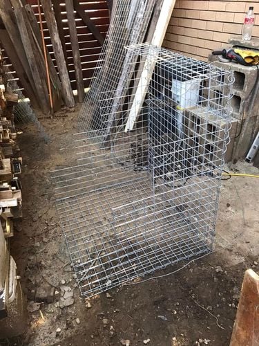 64 14-07-2024.jpg 64 14-07-2024.jpg