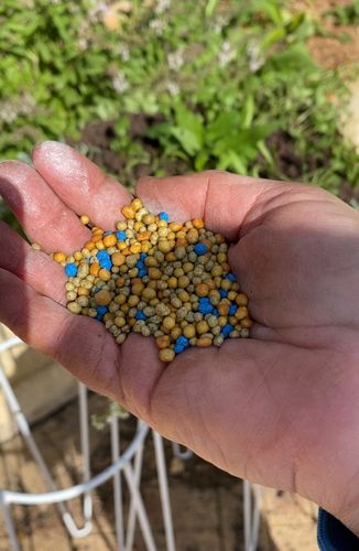 2581D115-3E01-463E-AFF7-6D8E8B33A788.jpeg 2581D115-3E01-463E-AFF7-6D8E8B33A788.jpeg