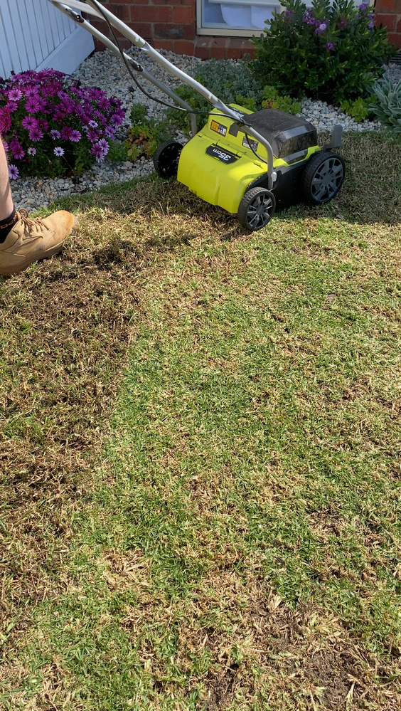 IMG_3123.png IMG_3123.png