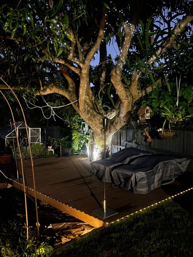 IMG_5892.JPG IMG_5892.JPG